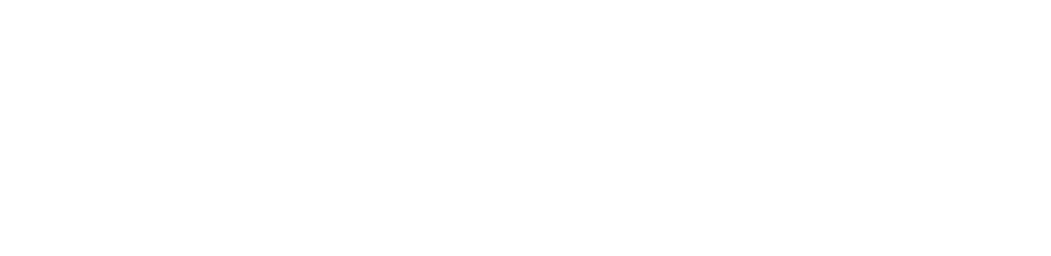 Welsh Government Logo